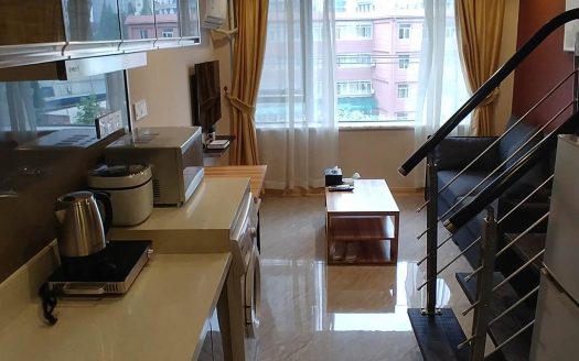 1br in kyms living apartment(凯麟公寓)