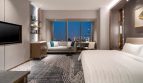 Deluxe Suite in CONRAD HOTLE SHANGHAI(豪华套房）1房